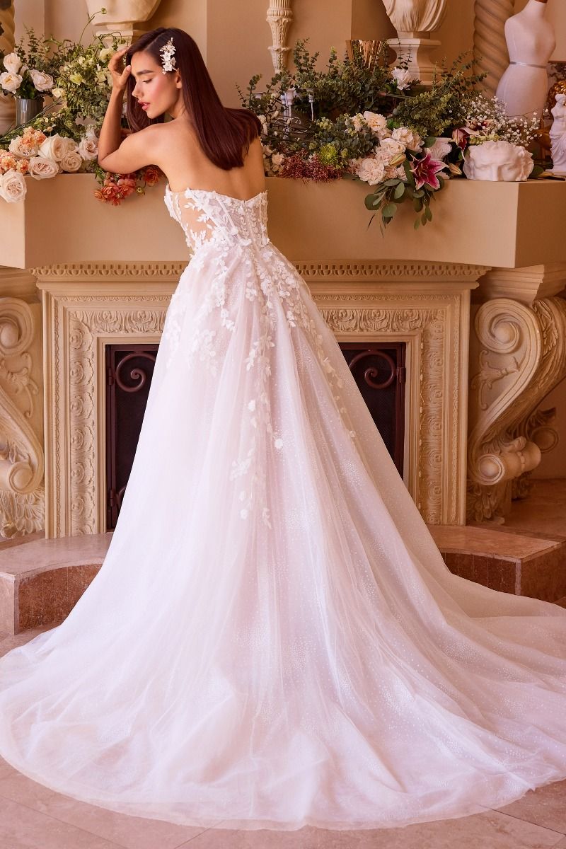 Andriana Appliquéd Wedding Dress