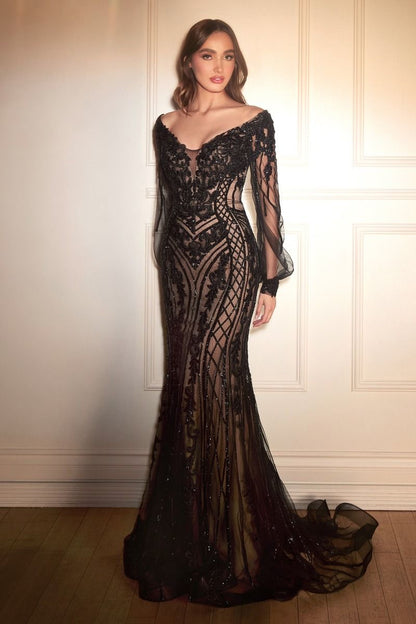 classy dress gown with long sheer sleeves for mother of the bride and groom wedding
