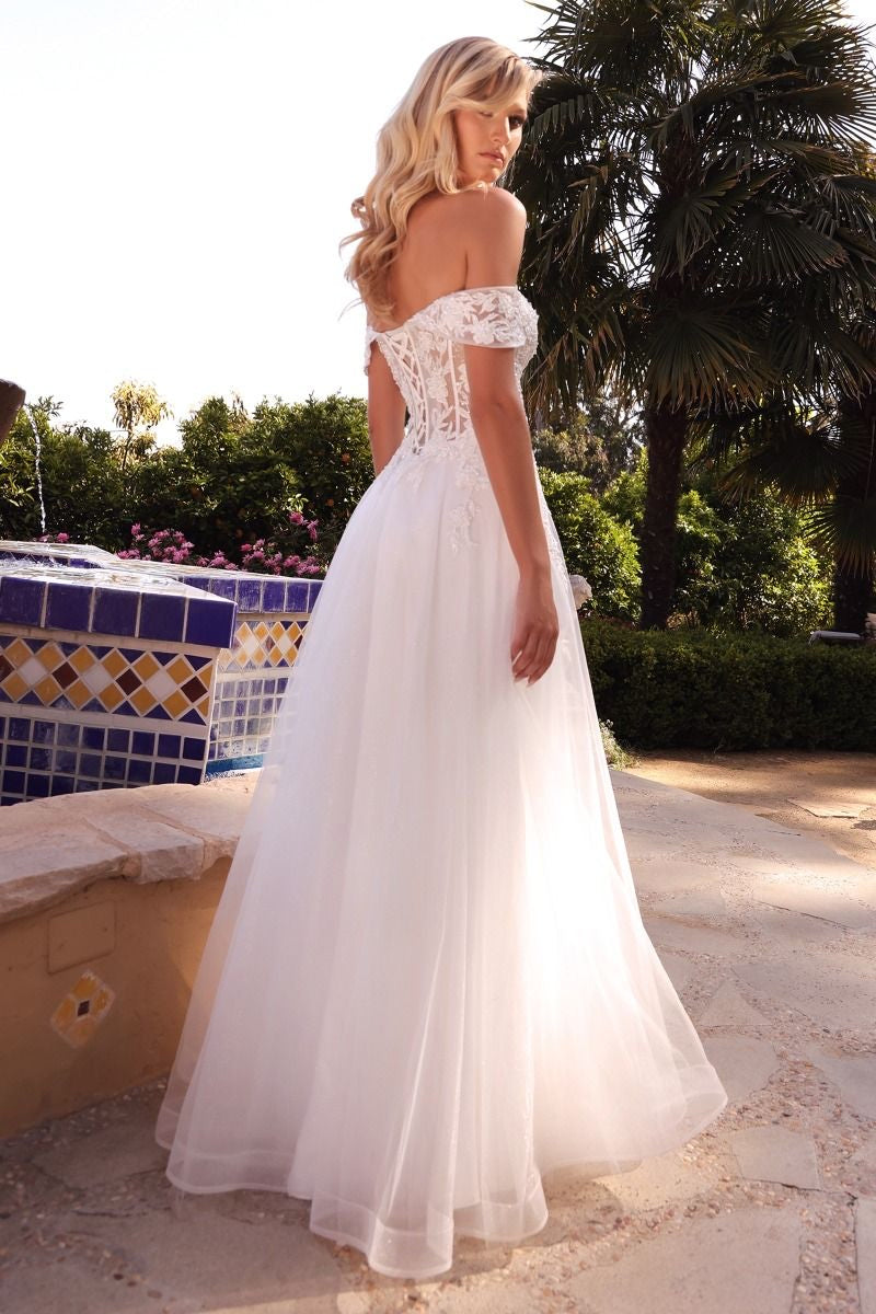 elegant gown with sheer structured bodice and full a line trimmed with horsehair