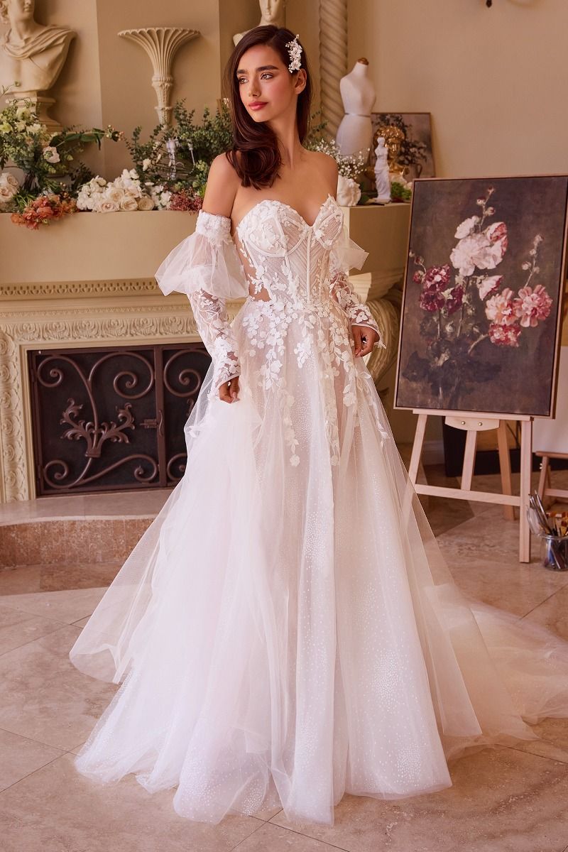 Andriana Appliquéd Wedding Dress