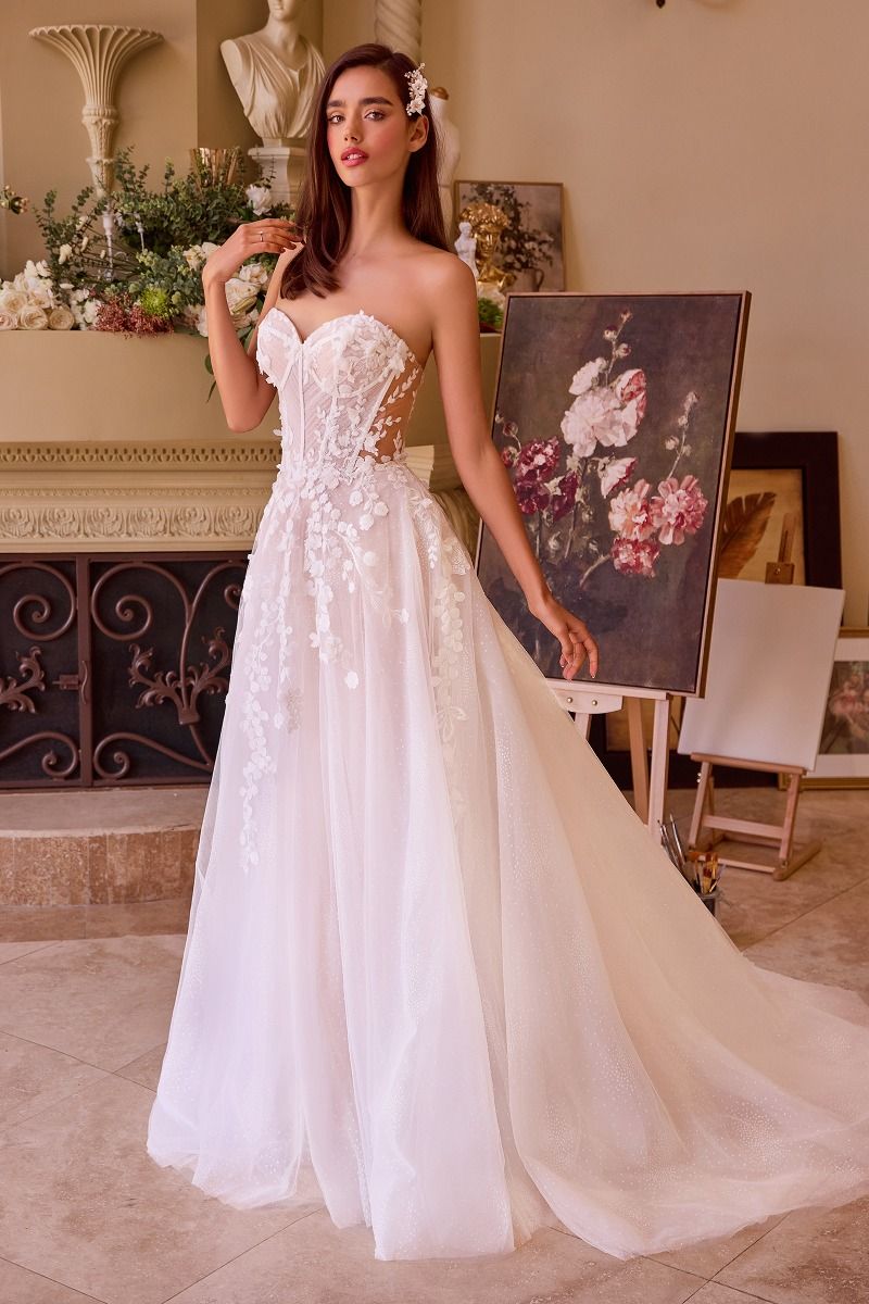 Andriana Appliquéd Wedding Dress