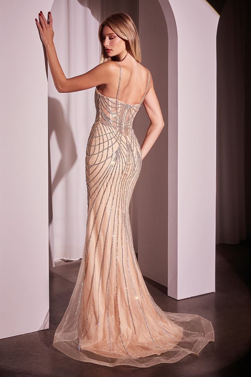 Sophia Fitted Crystal Gown