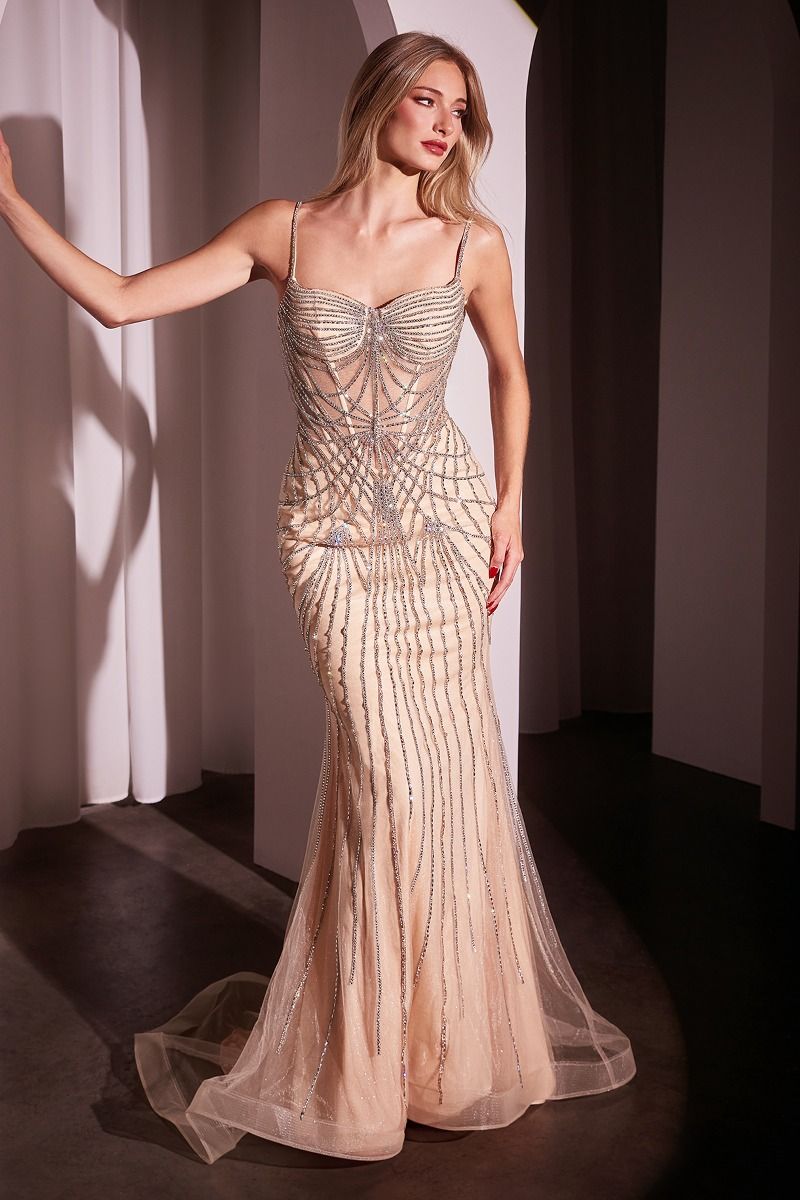 Sophia Fitted Crystal Gown