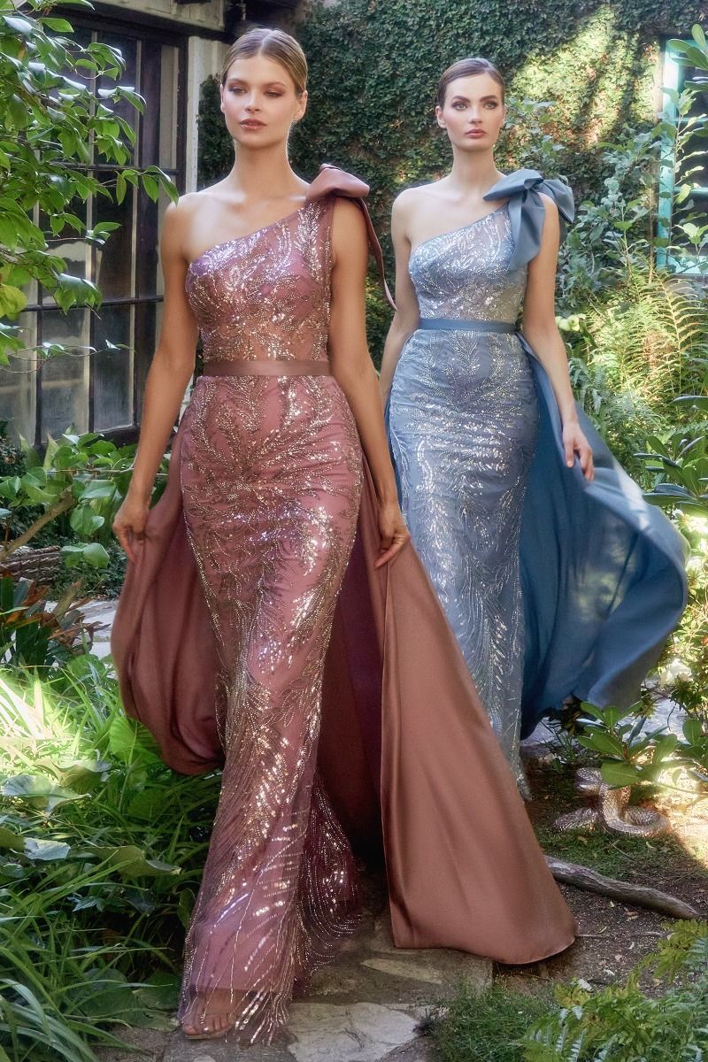 mermaid dresses , Mother of the bride dresses , one shoulder gown 