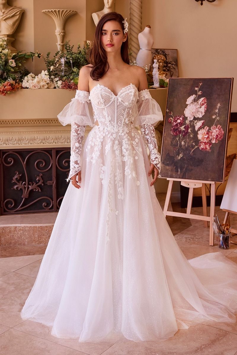 Andriana Appliquéd Wedding Dress