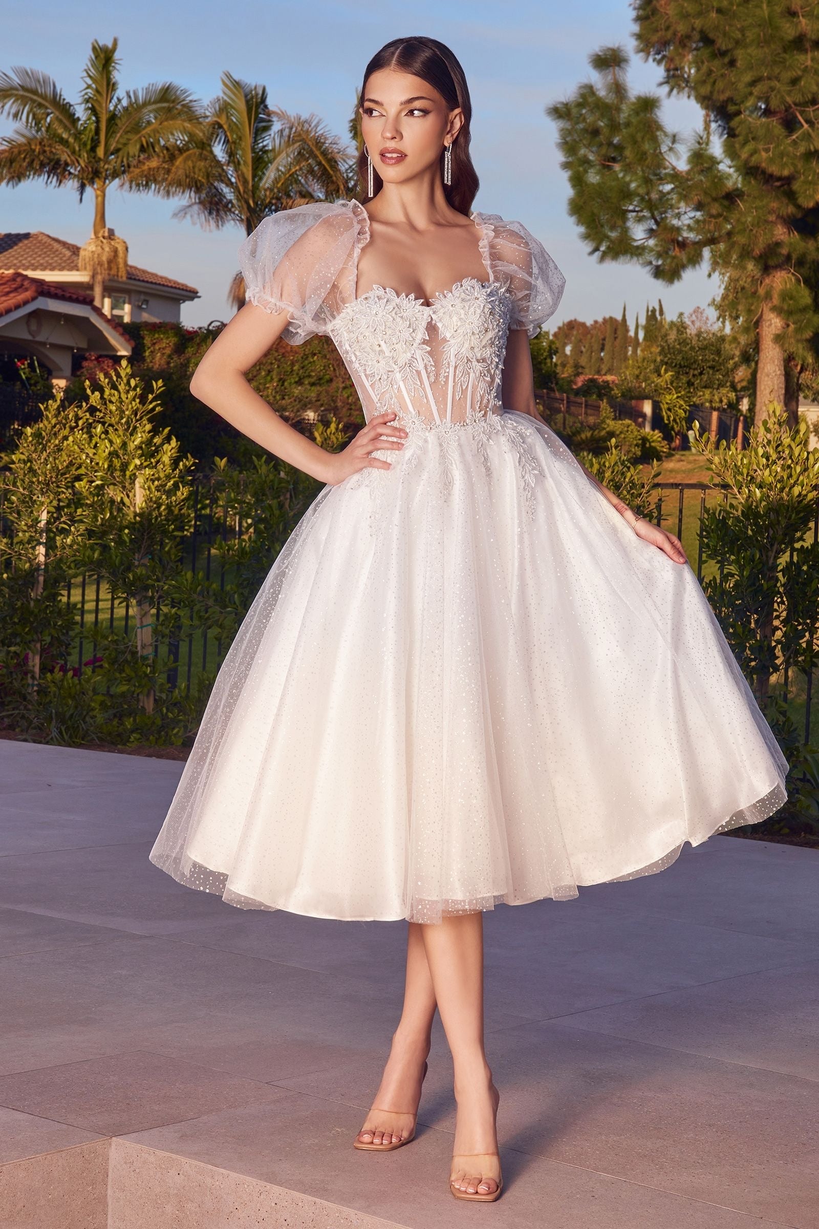 Close-up of sheer corset lace bodice with puff sleeves