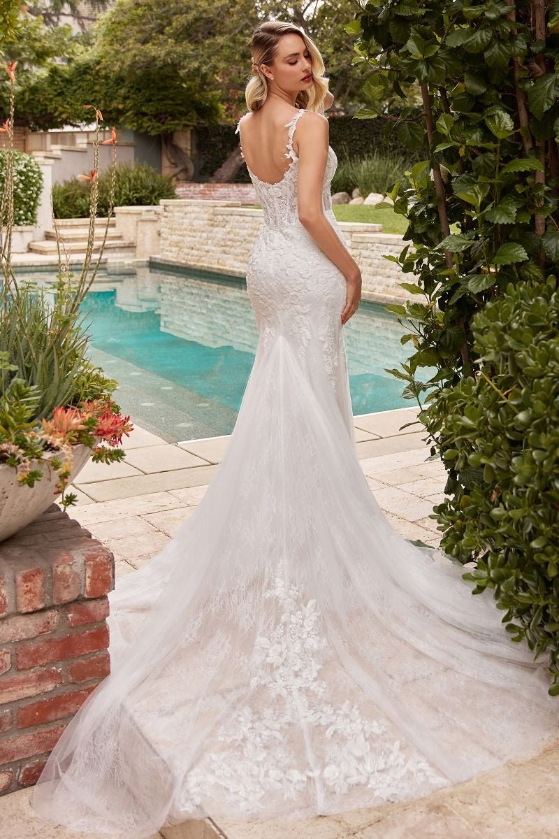 bodice with sheer detailing and lace and beading applique