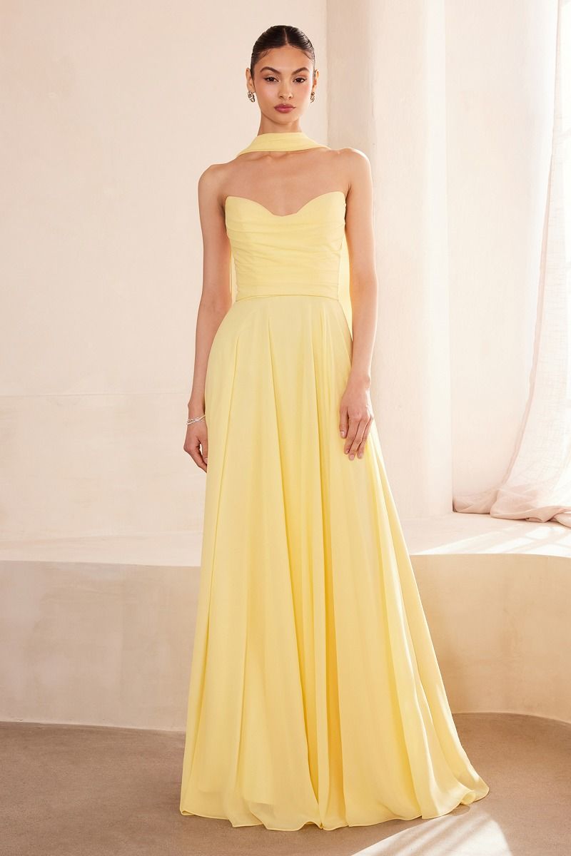 Valentine Chiffon Strapless Sweetheart Dress