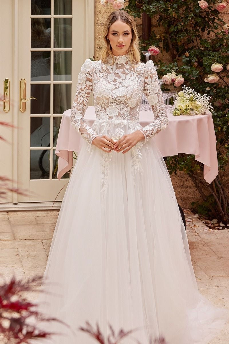Breathtaking bridal ball gown with high neckline and delicate lace sleeves