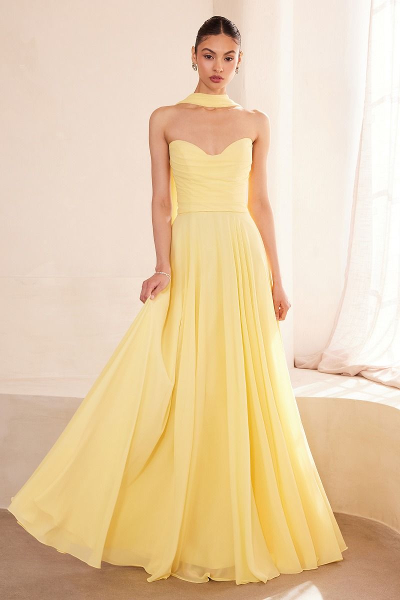 Valentine Chiffon Strapless Sweetheart Dress