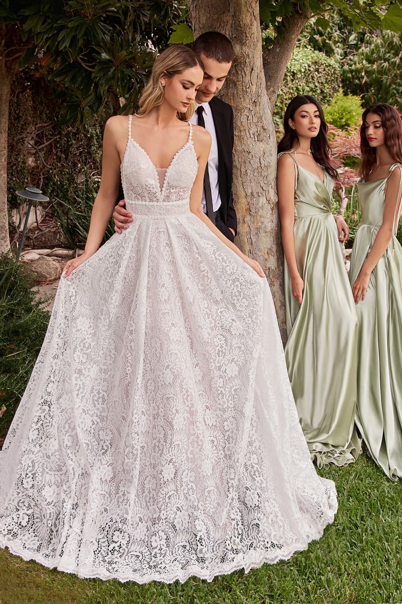 ethereal charm with delicate scalloped lace him