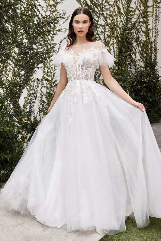 Exquisite off-white tulle ball gown with delicate lace appliques and illusion bateau neckline