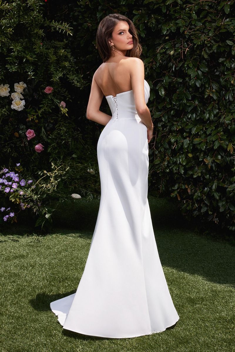 Lascivious White Strapless Gown