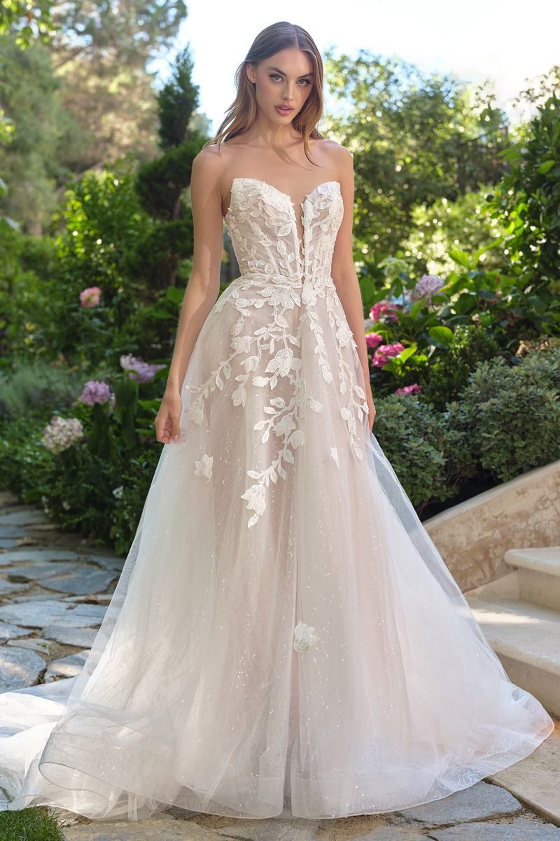 Veronica A Line Wedding Gown