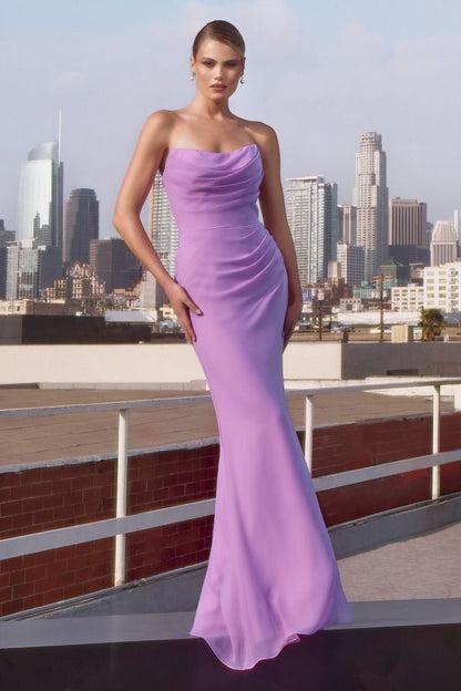 Tia Strapless Chiffon Dress