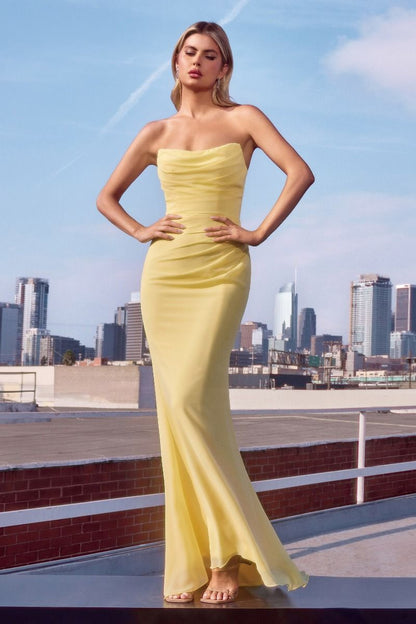 Tia Strapless Chiffon Dress
