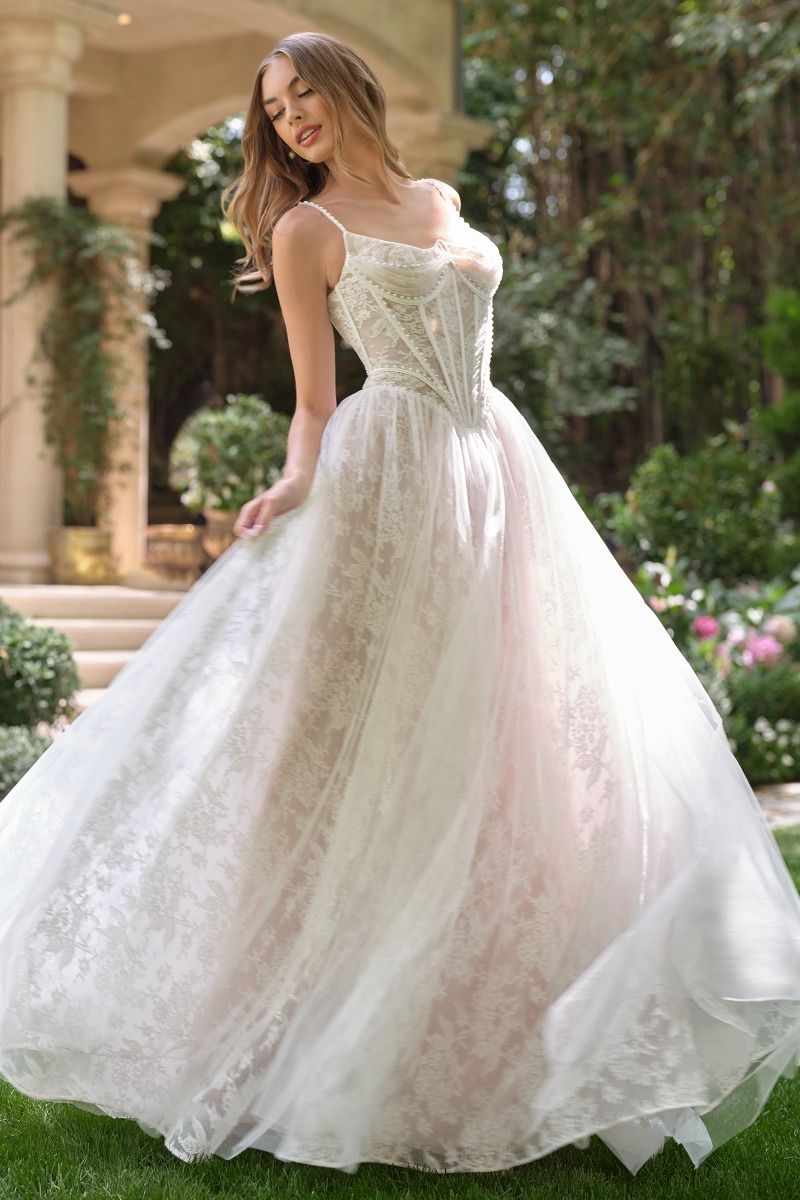 Pearl Reverie A-Line Lace Wedding Gown