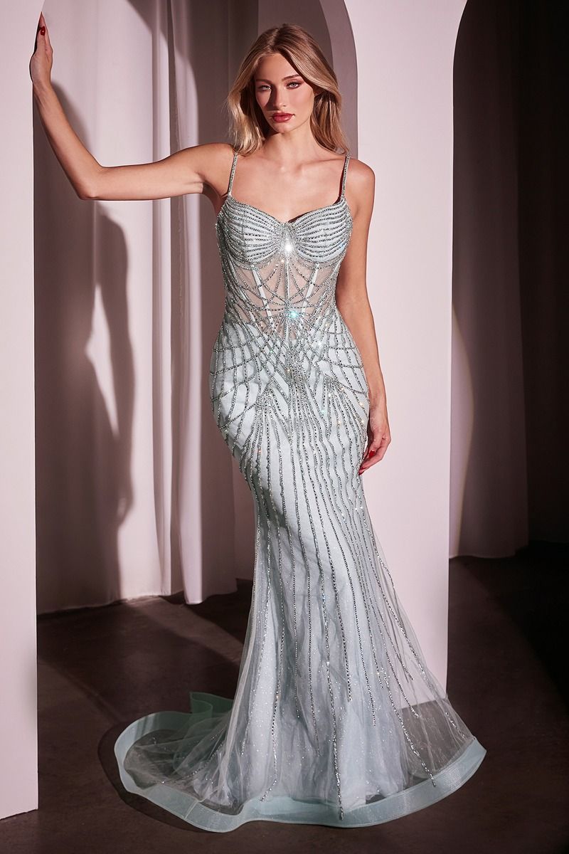 Sophia Fitted Crystal Gown