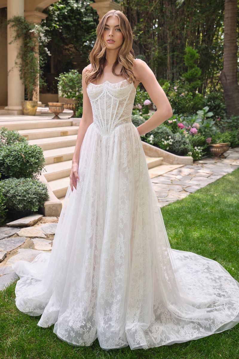 Pearl Reverie A-Line Lace Wedding Gown