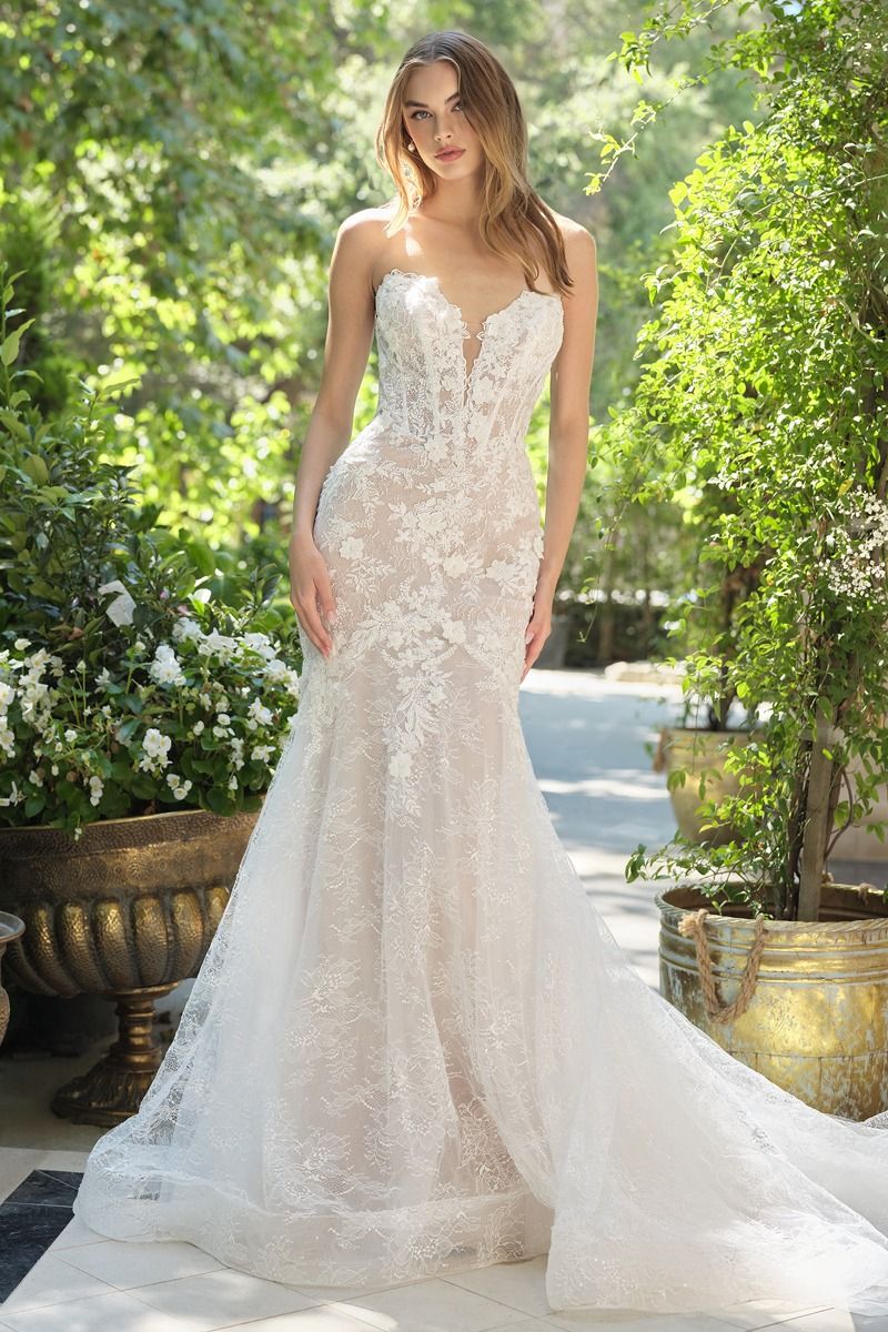 Camillie Fit & Flare Wedding Dress with Lace & Plunging Neckline